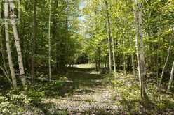 40 OLD RED BAY ROAD | Georgian Bluffs Ontario | Slide Image Thirteen