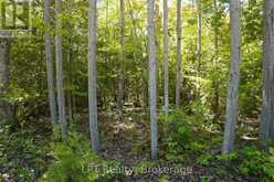 40 OLD RED BAY ROAD | Georgian Bluffs Ontario | Slide Image Nine