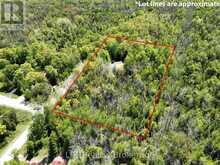 40 OLD RED BAY ROAD | Georgian Bluffs Ontario | Slide Image Five