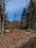 LOT 2 LORIMER LAKE ROAD | Whitestone Ontario | Slide Image Ten
