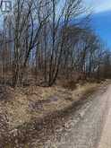 LOT 2 LORIMER LAKE ROAD | Whitestone Ontario | Slide Image Seven