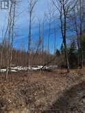 LOT 2 LORIMER LAKE ROAD | Whitestone Ontario | Slide Image Nine