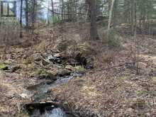 410 RANGER | Parry Sound Ontario | Slide Image Twenty