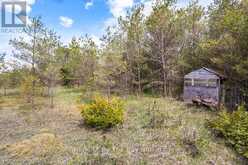 353814 OSPREY ARTEMESIA TOWNLINE | Grey Highlands Ontario | Slide Image Sixteen