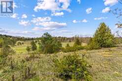 353814 OSPREY ARTEMESIA TOWNLINE | Grey Highlands Ontario | Slide Image Twenty