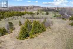 353814 OSPREY ARTEMESIA TOWNLINE | Grey Highlands Ontario | Slide Image Twenty-three