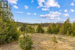 353814 OSPREY ARTEMESIA TOWNLINE | Grey Highlands Ontario | Slide Image Twenty-nine