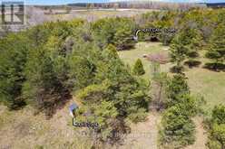353814 OSPREY ARTEMESIA TOWNLINE | Grey Highlands Ontario | Slide Image Ten