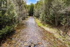 353814 OSPREY ARTEMESIA TOWNLINE | Grey Highlands Ontario | Slide Image Four