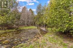 353814 OSPREY ARTEMESIA TOWNLINE | Grey Highlands Ontario | Slide Image Five