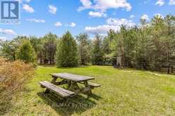 353814 OSPREY ARTEMESIA TOWNLINE | Grey Highlands Ontario | Slide Image Seven