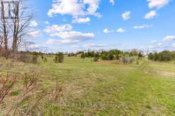 353814 OSPREY ARTEMESIA TOWNLINE | Grey Highlands Ontario | Slide Image Eight