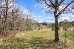353814 OSPREY ARTEMESIA TOWNLINE | Grey Highlands Ontario | Slide Image Nine