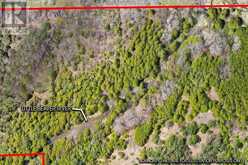 353814 OSPREY ARTEMESIA TOWNLINE | Grey Highlands Ontario | Slide Image Three