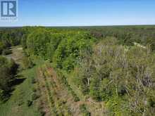 266 RANKIN BRIDGE ROAD | Georgian Bluffs Ontario | Slide Image Six
