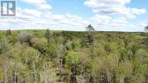 887 STAR LAKE ROAD | Emsdale Ontario | Slide Image Twelve