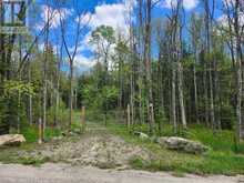 887 STAR LAKE ROAD | Emsdale Ontario | Slide Image Two