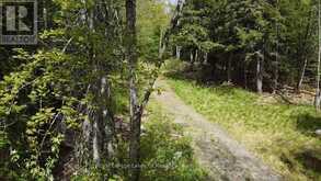 887 STAR LAKE ROAD | Emsdale Ontario | Slide Image Eight