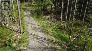 887 STAR LAKE ROAD | Emsdale Ontario | Slide Image Nine