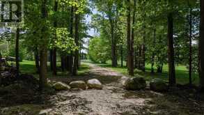 PART OF LOT 2 CONCESSION 8 | Markdale Ontario | Slide Image Eighteen