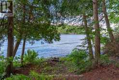 26 TAYLOR ISLAND 26LM | Gravenhurst Ontario | Slide Image Twenty-five