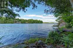 26 TAYLOR ISLAND 26LM | Gravenhurst Ontario | Slide Image Twenty-eight