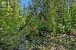 103 GILKISON STREET | Elora Ontario | Slide Image Forty