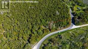 205 EAST ROAD | Lion's Head Ontario | Slide Image Thirteen