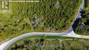 205 EAST ROAD | Lion's Head Ontario | Slide Image Fourteen
