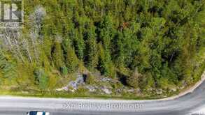 205 EAST ROAD | Lion's Head Ontario | Slide Image Fifteen
