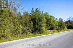 205 EAST ROAD | Lion's Head Ontario | Slide Image Sixteen