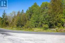 205 EAST ROAD | Lion's Head Ontario | Slide Image Seventeen