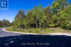 205 EAST ROAD | Lion's Head Ontario | Slide Image Eighteen