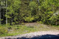 205 EAST ROAD | Lion's Head Ontario | Slide Image Nineteen