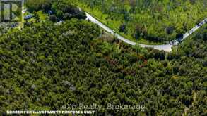 205 EAST ROAD | Lion's Head Ontario | Slide Image Two