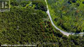 205 EAST ROAD | Lion's Head Ontario | Slide Image Three