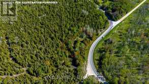 205 EAST ROAD | Lion's Head Ontario | Slide Image Four