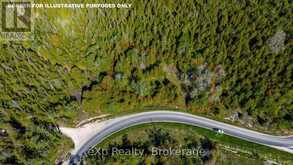 205 EAST ROAD | Lion's Head Ontario | Slide Image Five