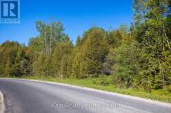 205 EAST ROAD | Lion's Head Ontario | Slide Image Six