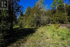 205 EAST ROAD | Lion's Head Ontario | Slide Image Eight