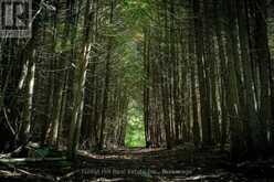 496629 GREY ROAD 2 | The Blue Mountains Ontario | Slide Image Twenty-six