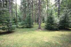1082 GREEN LAKE ROAD | Haliburton Ontario | Slide Image Thirty-two
