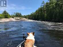 66E PICKEREL RIVER | Parry Sound Ontario | Slide Image Twenty-five