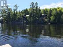 66E PICKEREL RIVER | Parry Sound Ontario | Slide Image Five
