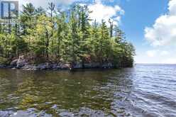 1 ISLAND 20ML ISLAND | Gravenhurst Ontario | Slide Image One