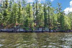 1 ISLAND 20ML ISLAND | Gravenhurst Ontario | Slide Image Two