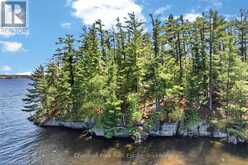 1 ISLAND 20ML ISLAND | Gravenhurst Ontario | Slide Image Seven