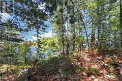 1 ISLAND 20ML ISLAND | Gravenhurst Ontario | Slide Image Eight