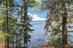 1 ISLAND 20ML ISLAND | Gravenhurst Ontario | Slide Image Nine