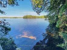 10573 LOON LAKE WAO | Haliburton Ontario | Slide Image Thirty-two